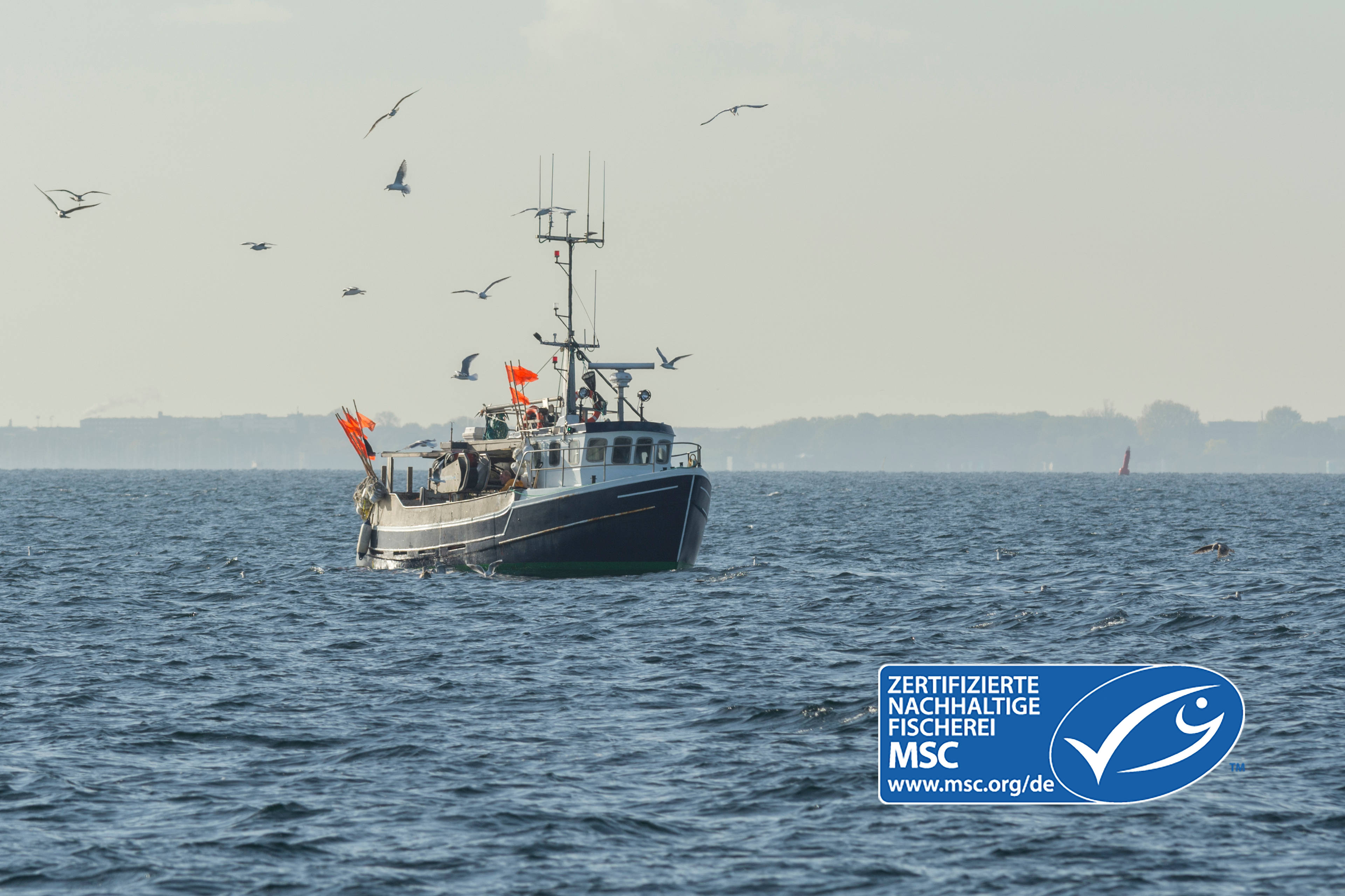 MSC Zertifizierung 