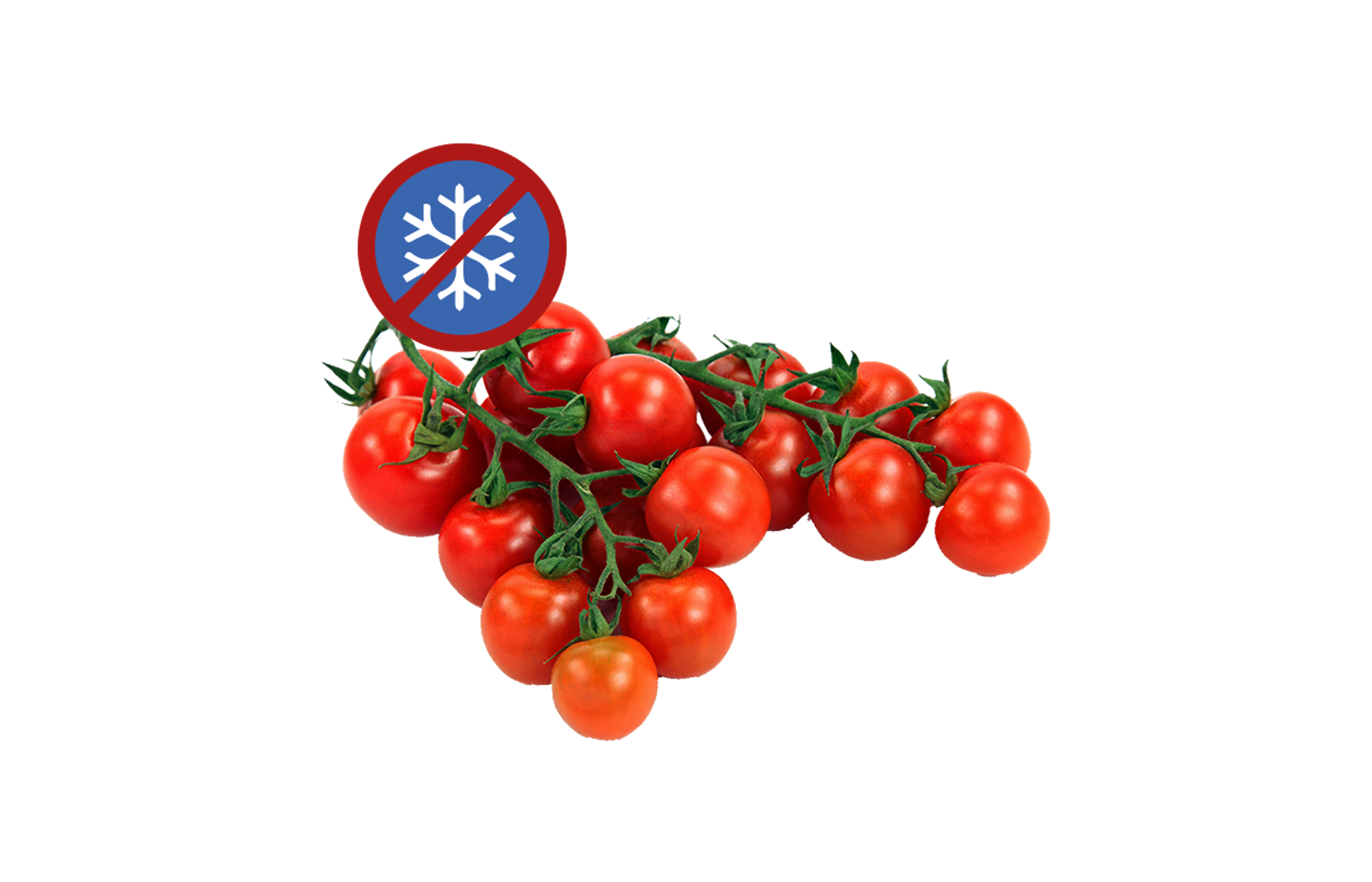Tomaten