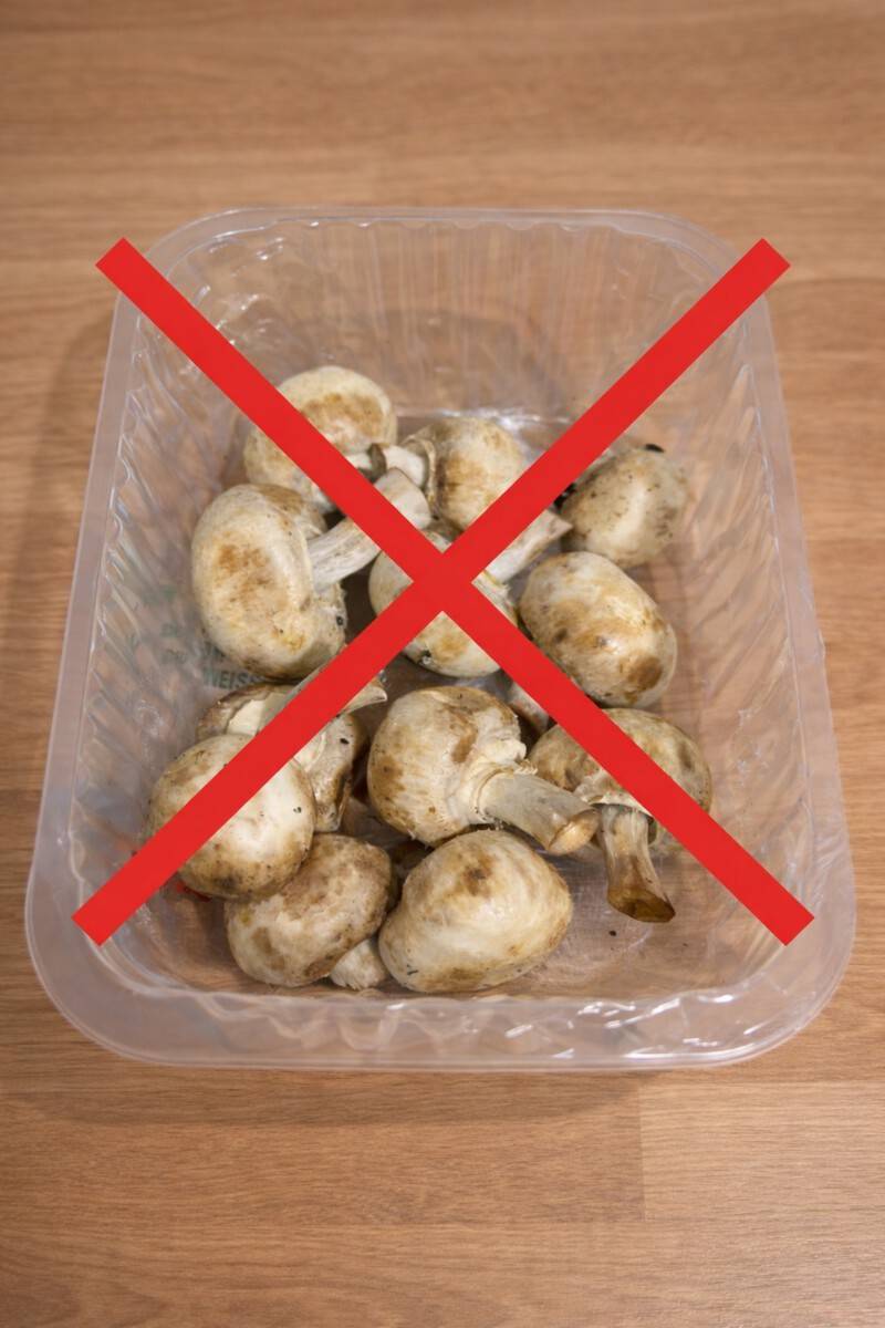 Champignons richtig lagern und frisch halten: Tipps und Anleitung