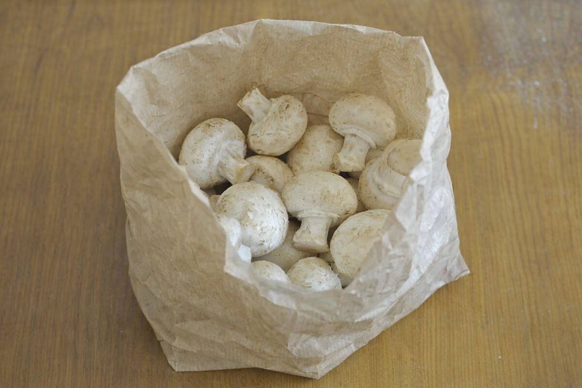 Champignons richtig lagern und frisch halten: Tipps und Anleitung
