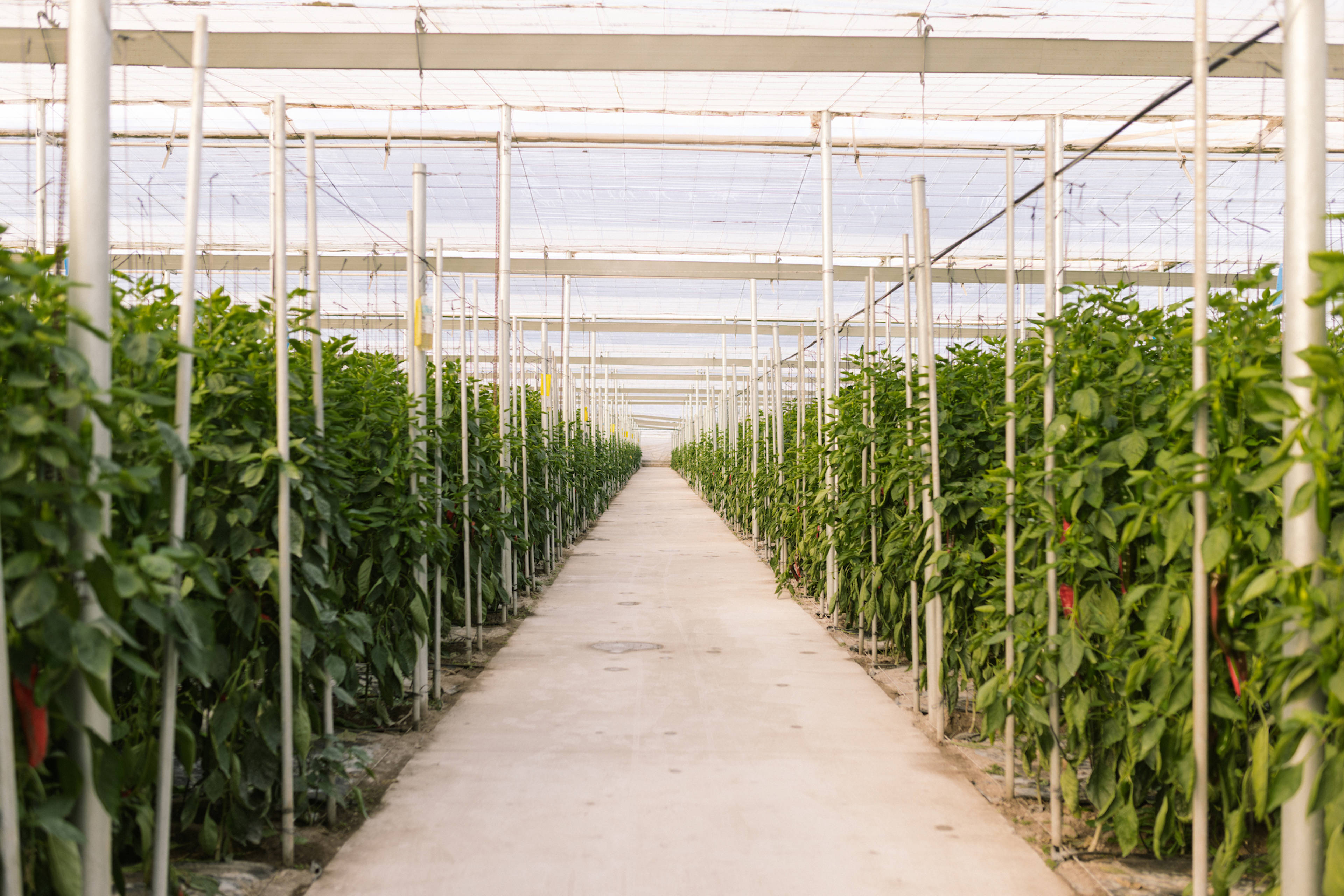 Una agricultura responsable