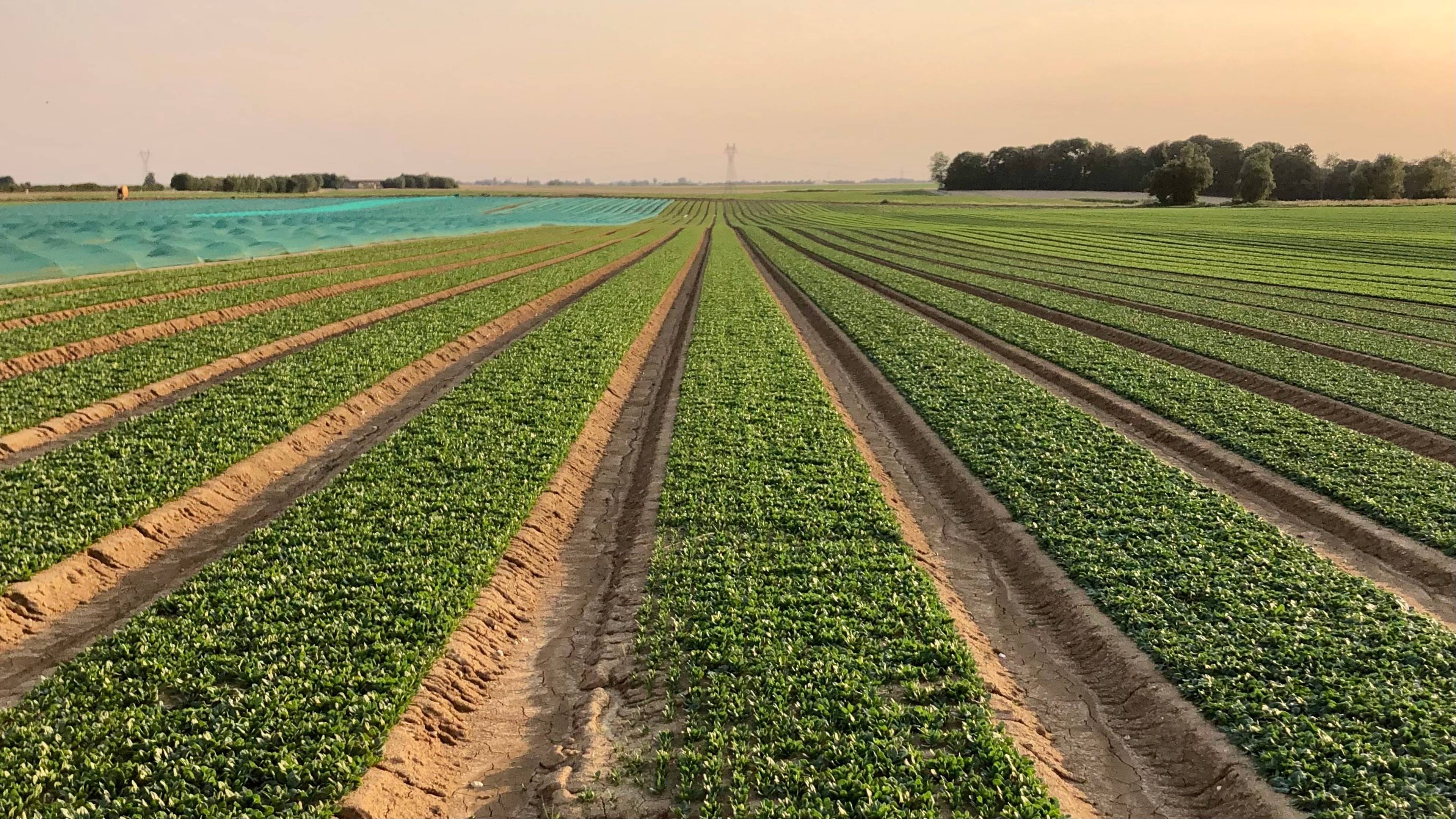 Des terres d’exception au gré des saisons