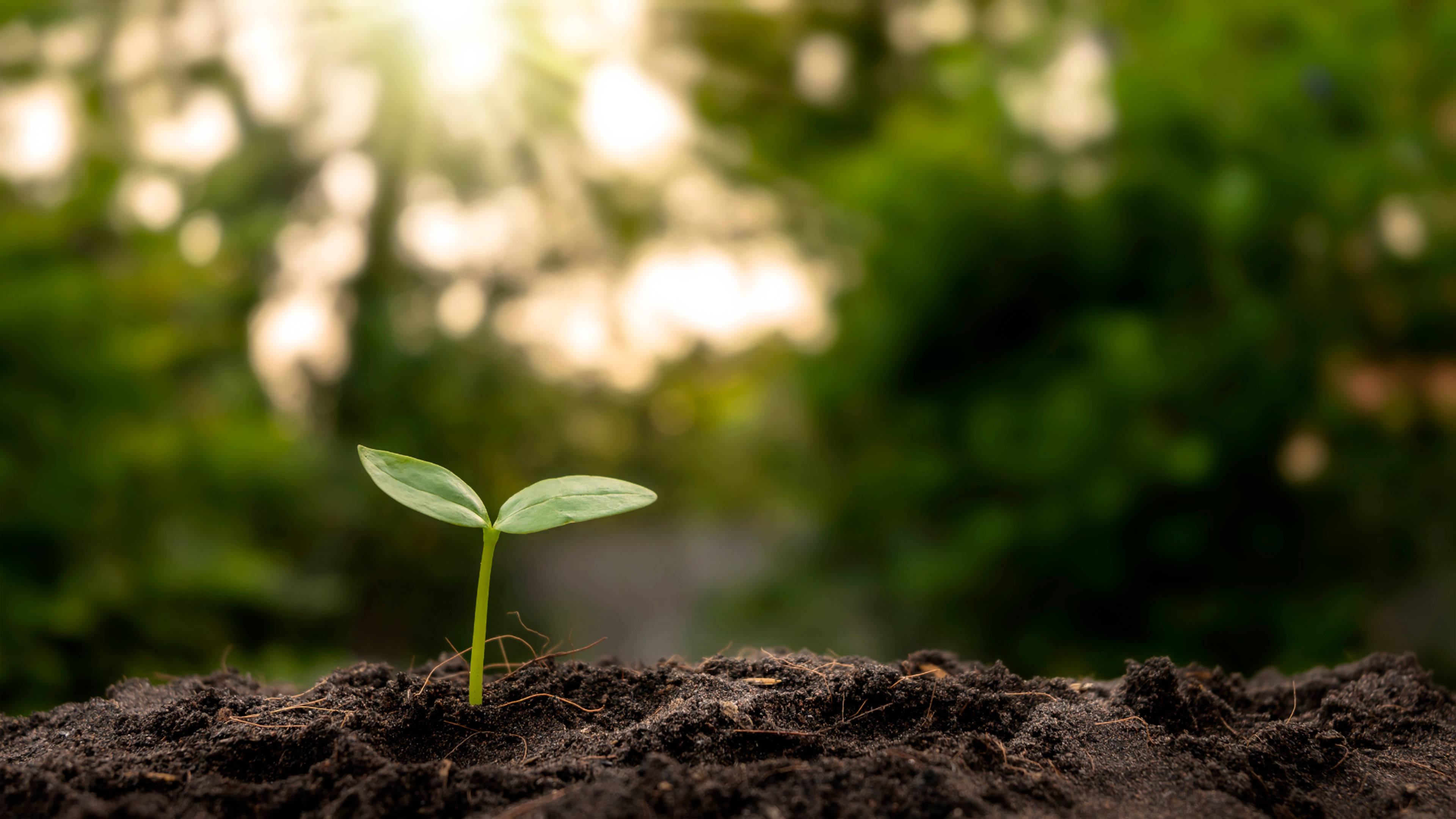 Un partenaire engagé pour une agriculture plus responsable