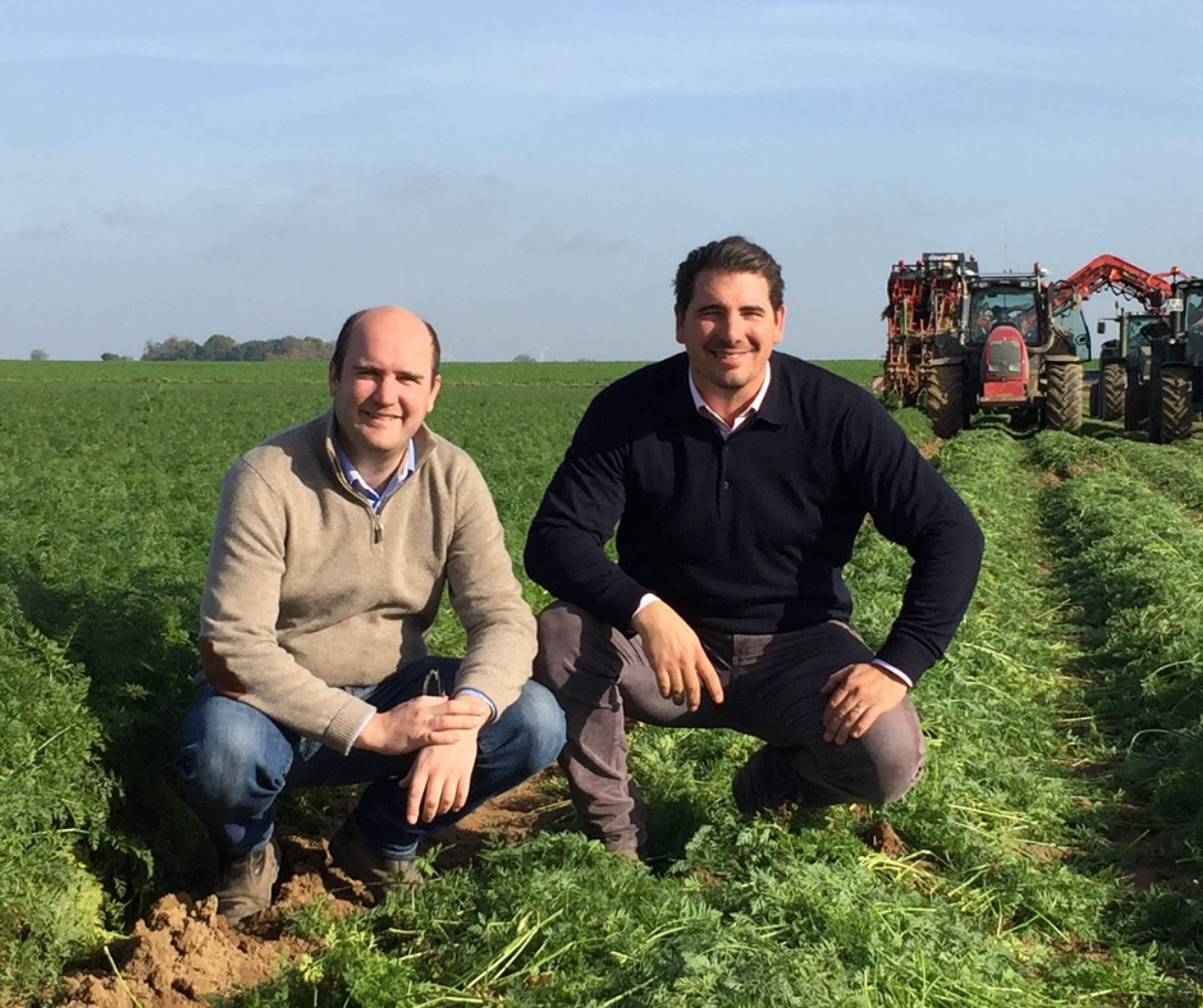 Champs de Légumes : un héritage familial