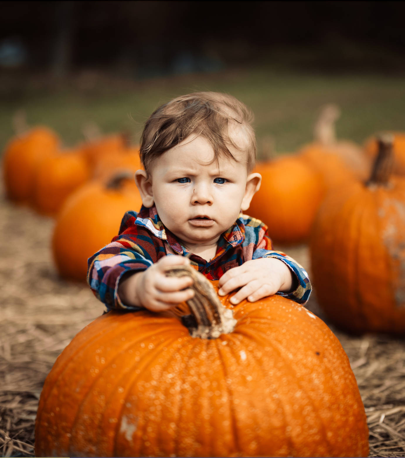 Our Pumpkin Patch Rating Methodology