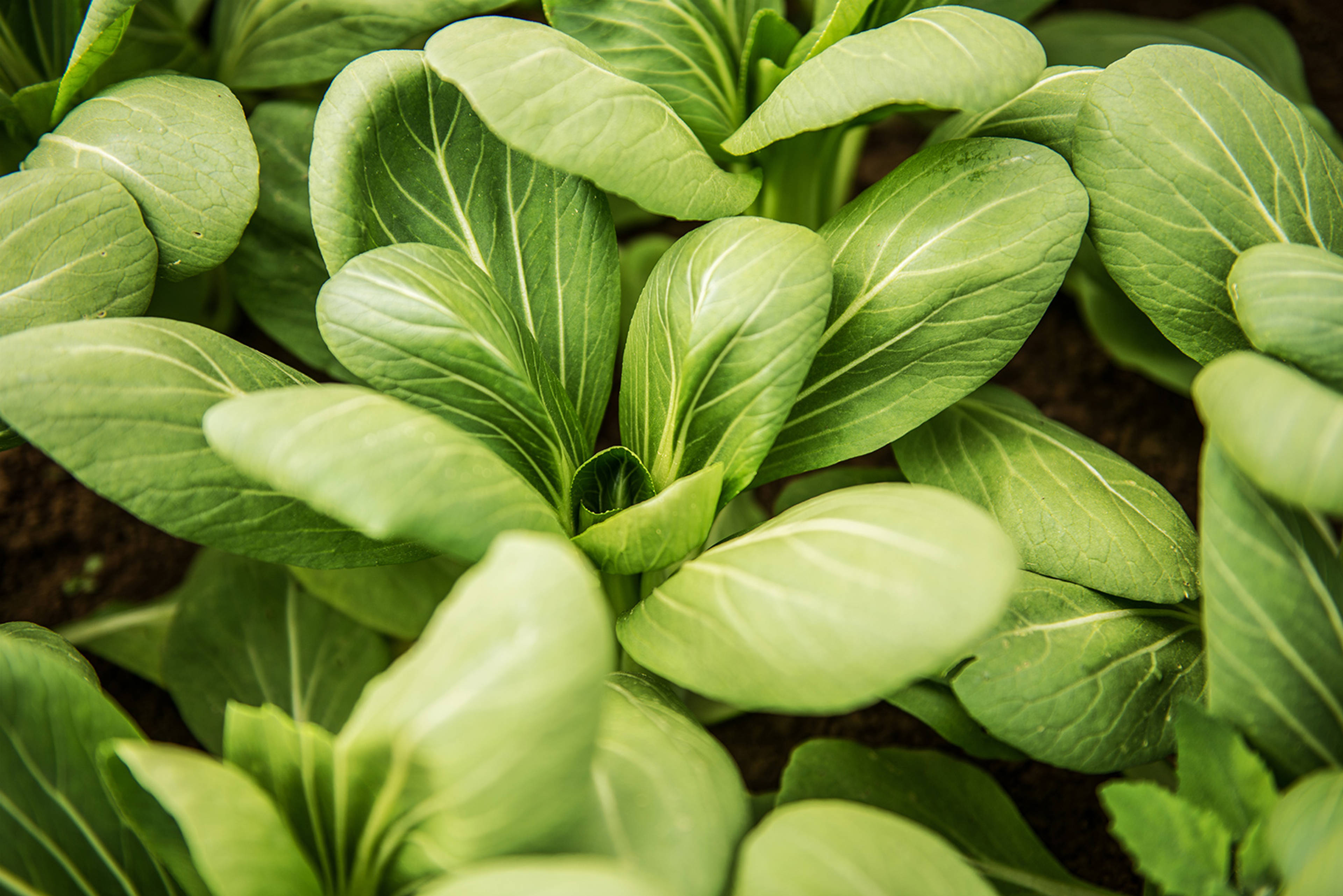 Reducing carbon emissions every step of the way