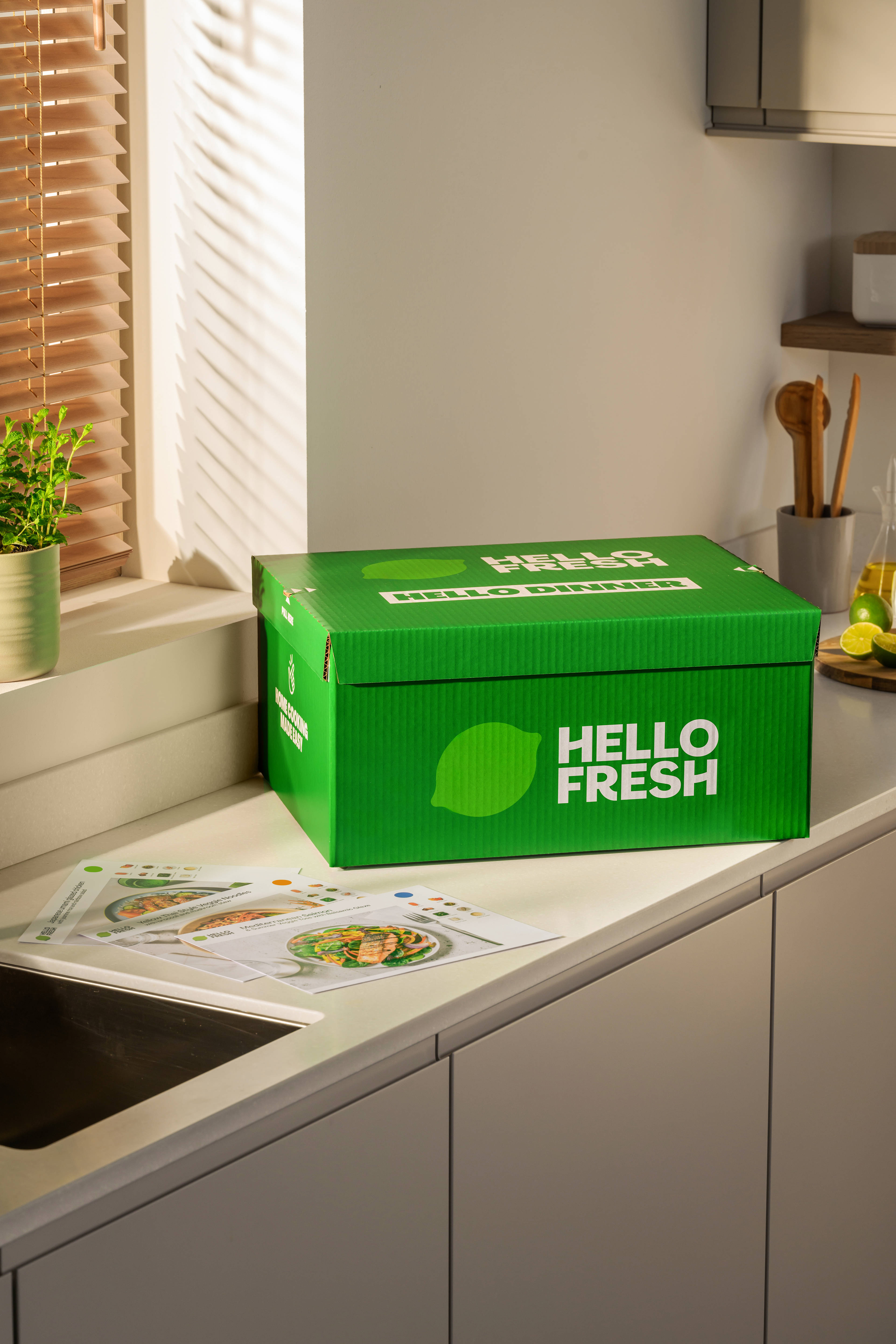 Vegetarian Meal Delivery For a Healthy Lifestyle