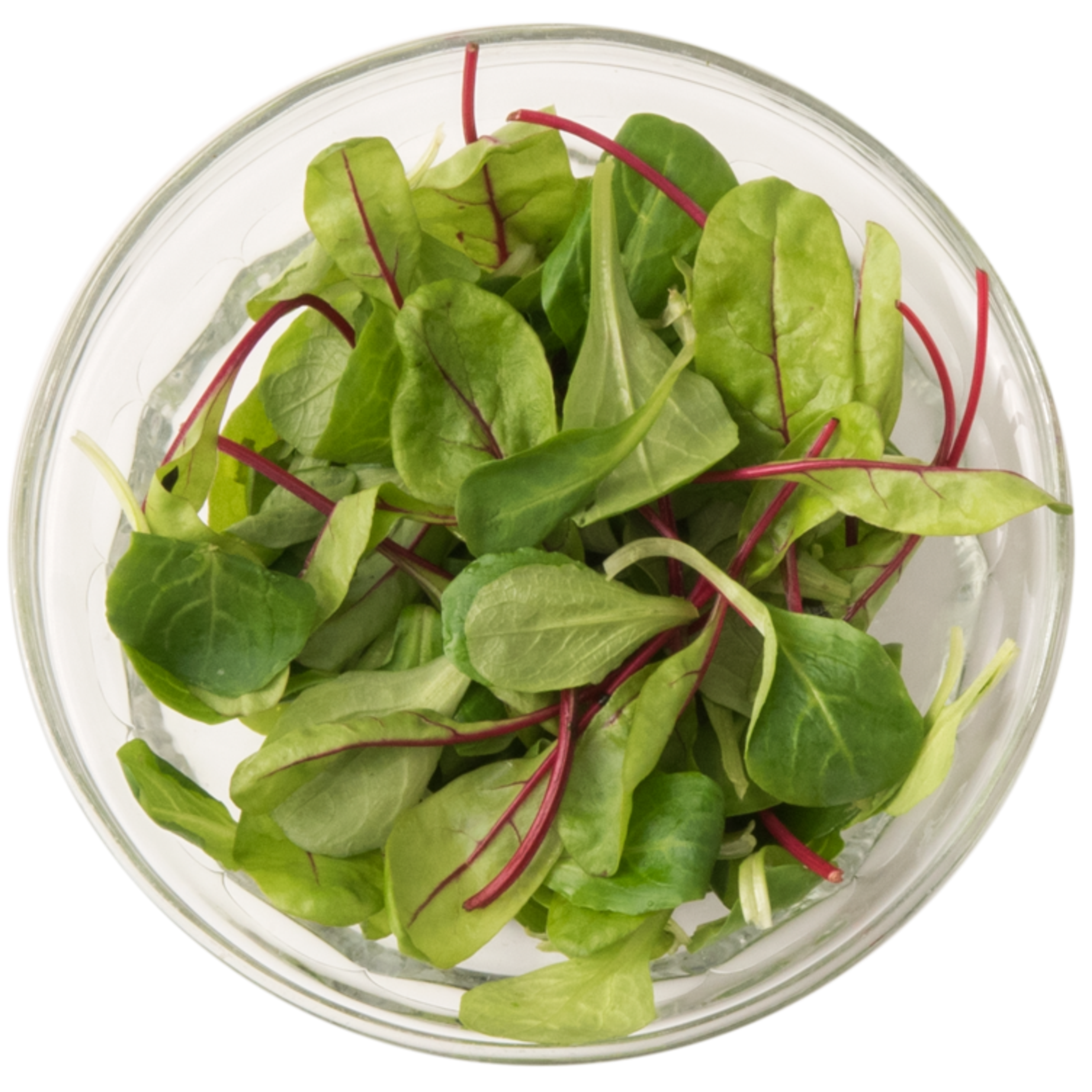 Salad Leaves
