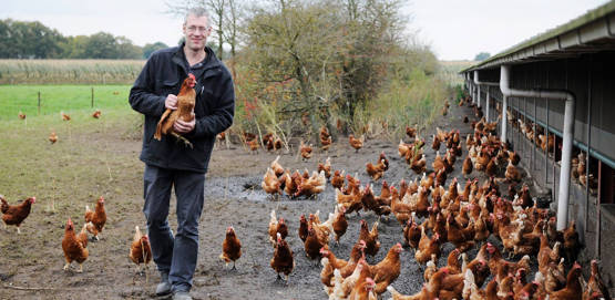 Des œufs de qualité