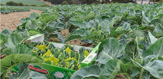 Un savoir-faire unique