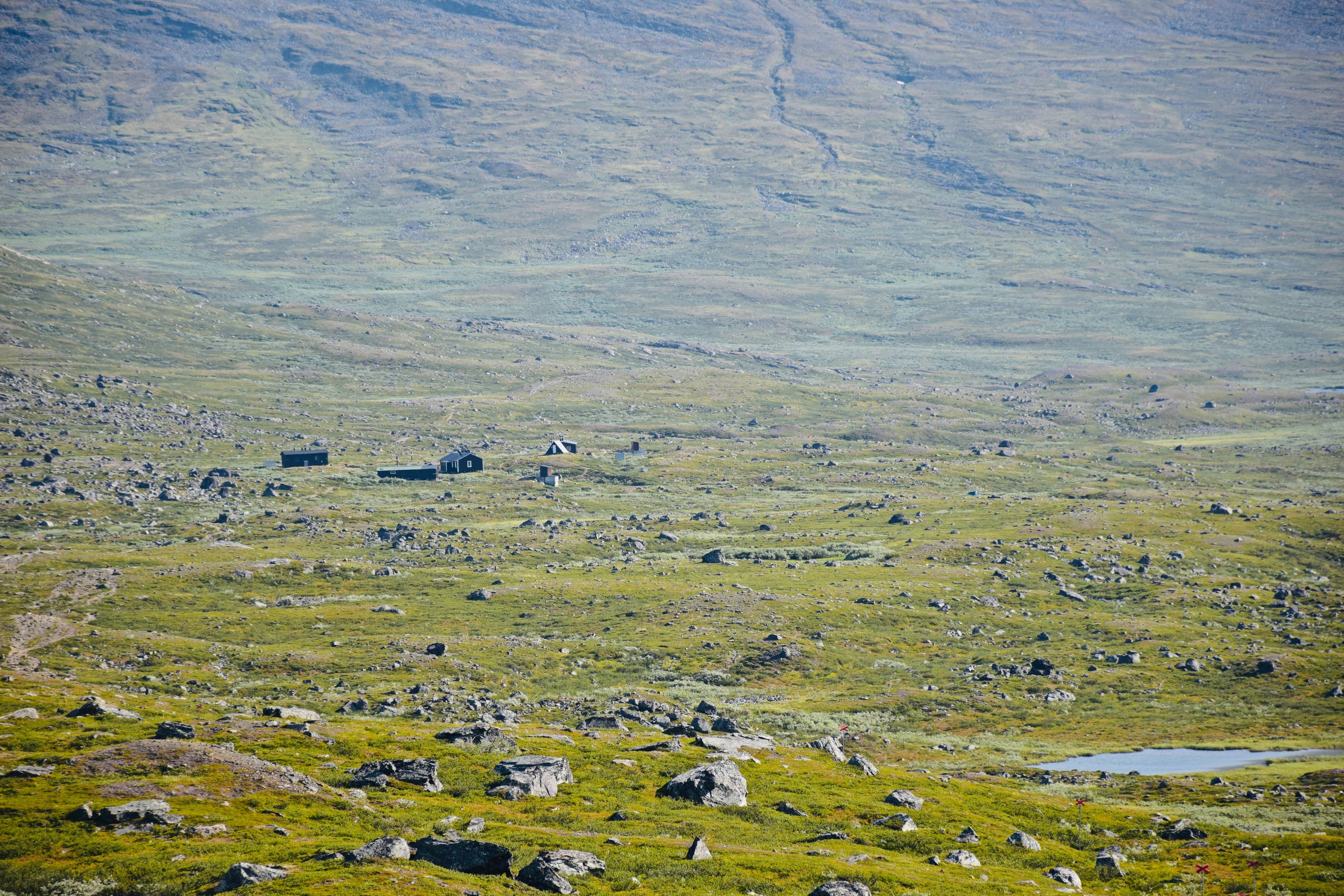 <h2>Gott för magen, kroppen och knoppen</h2>