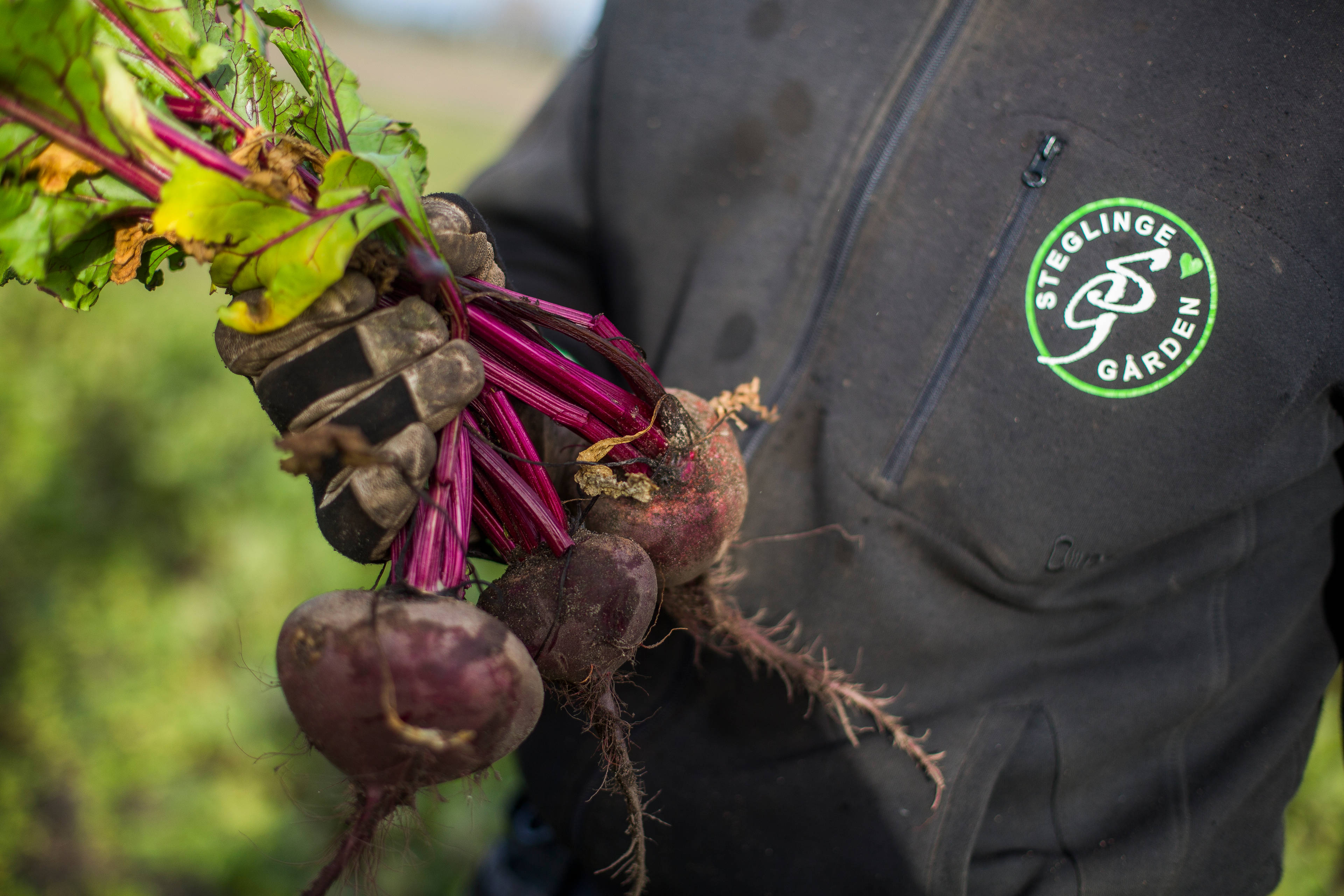 Nyt friske og sesongbaserte råvarer i din HelloFresh-matkasse