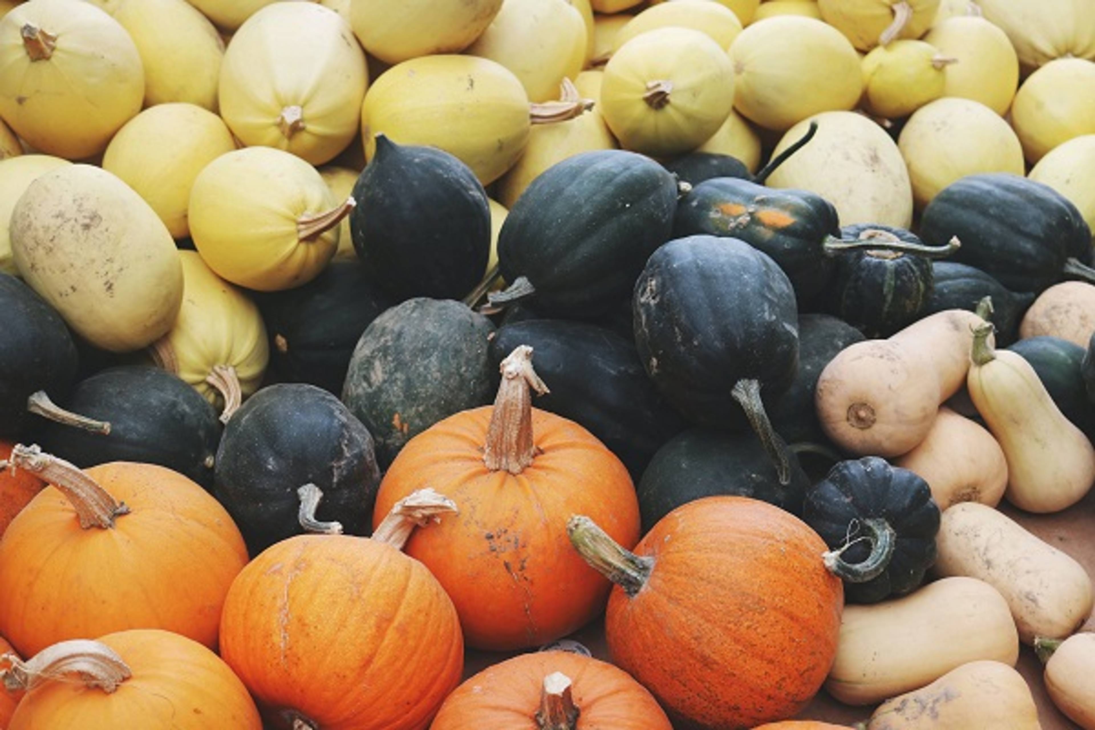 Health Benefits of Squash