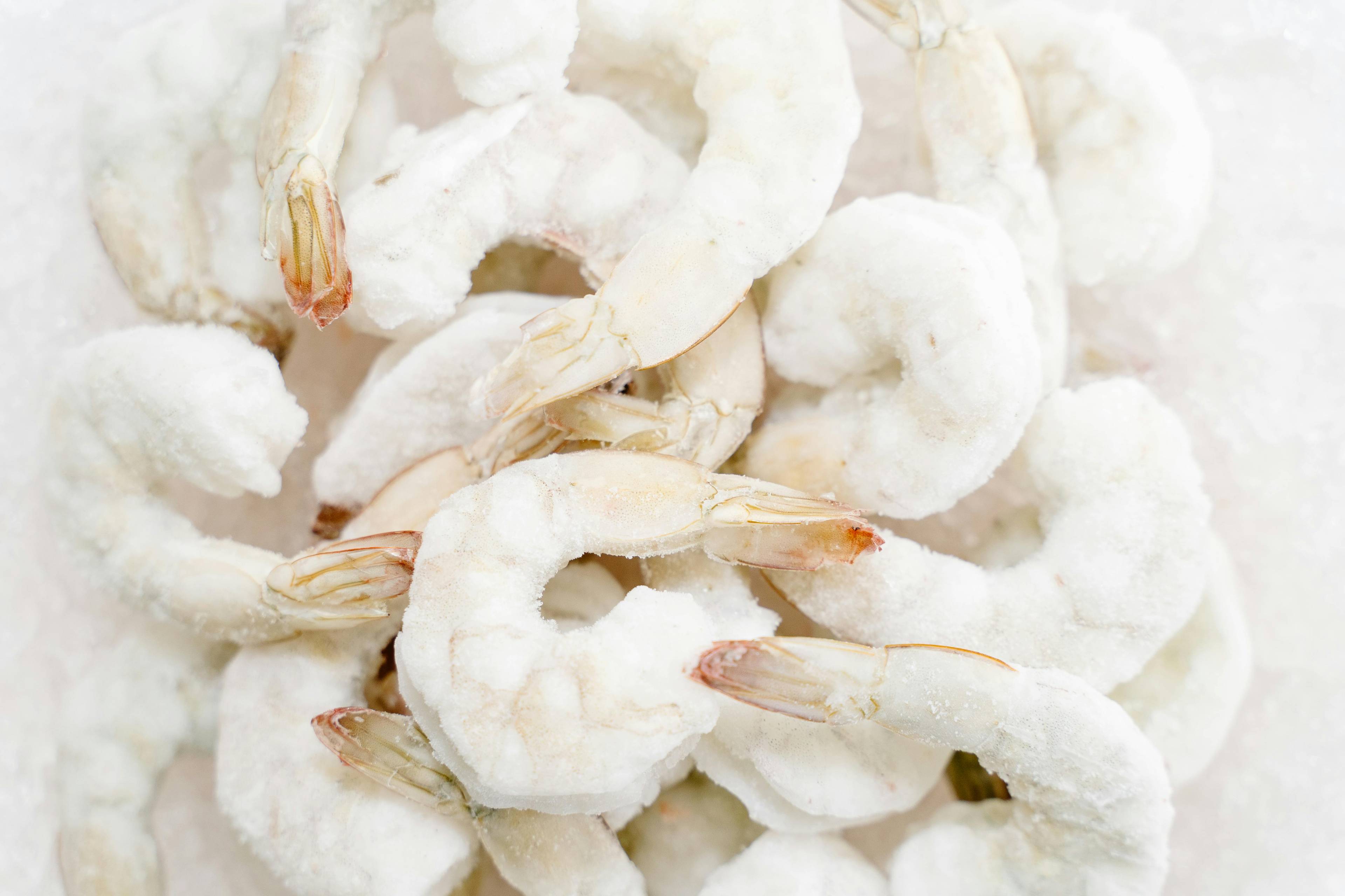Does Freezing Food Eliminate the Risk of Foodborne Illness?