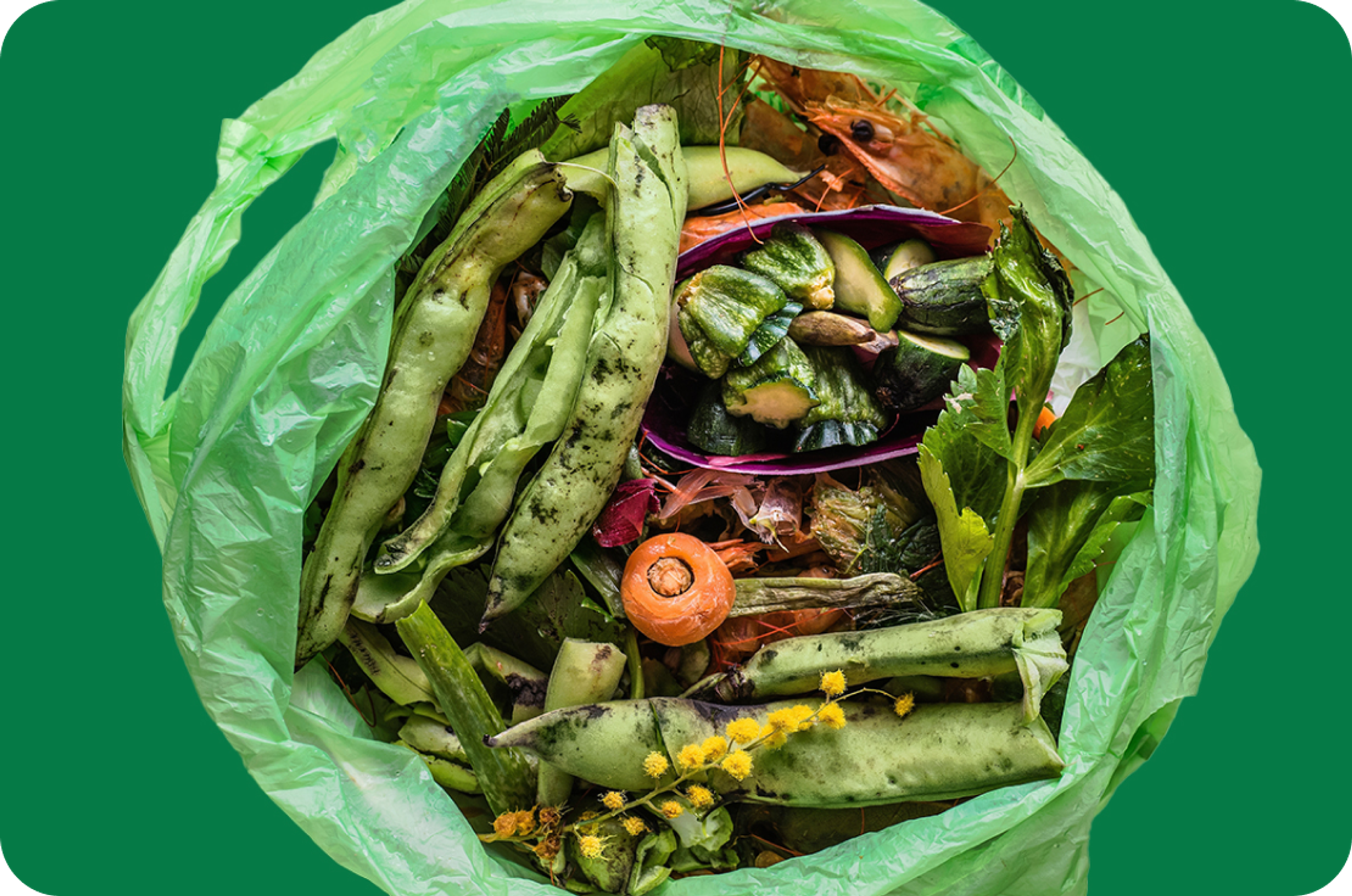 Waste Not, Want Not