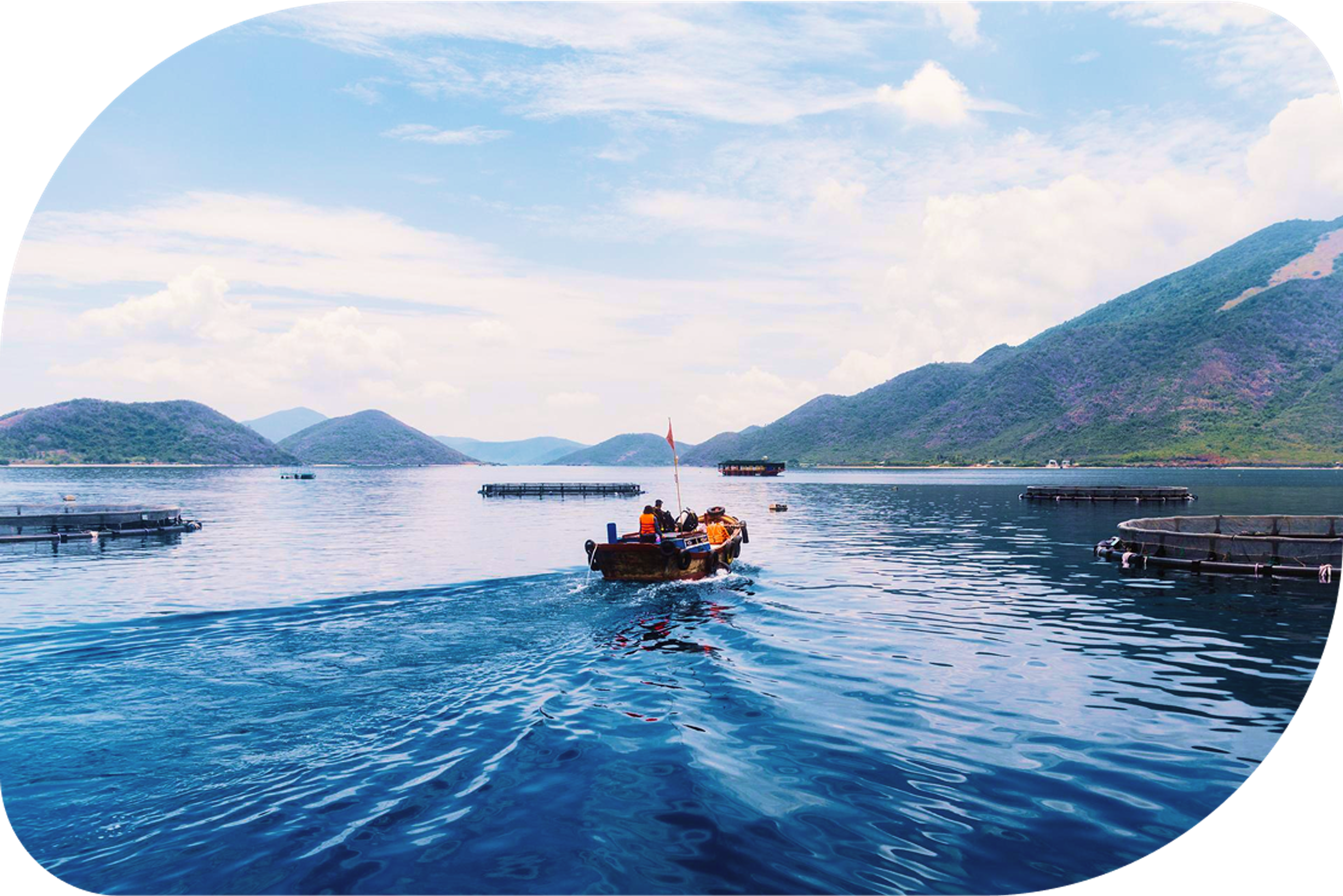 Our Sustainable Seafood Practices