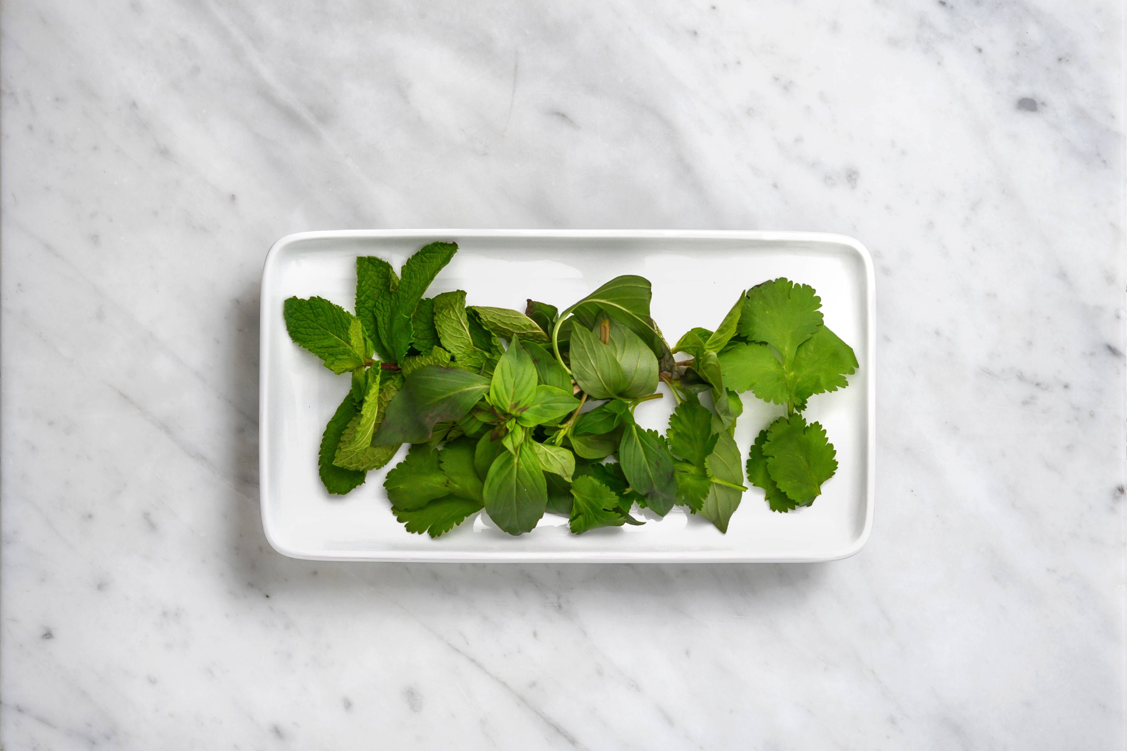 Modularity: Munt, Koriander en Thaise basilicum (10g)