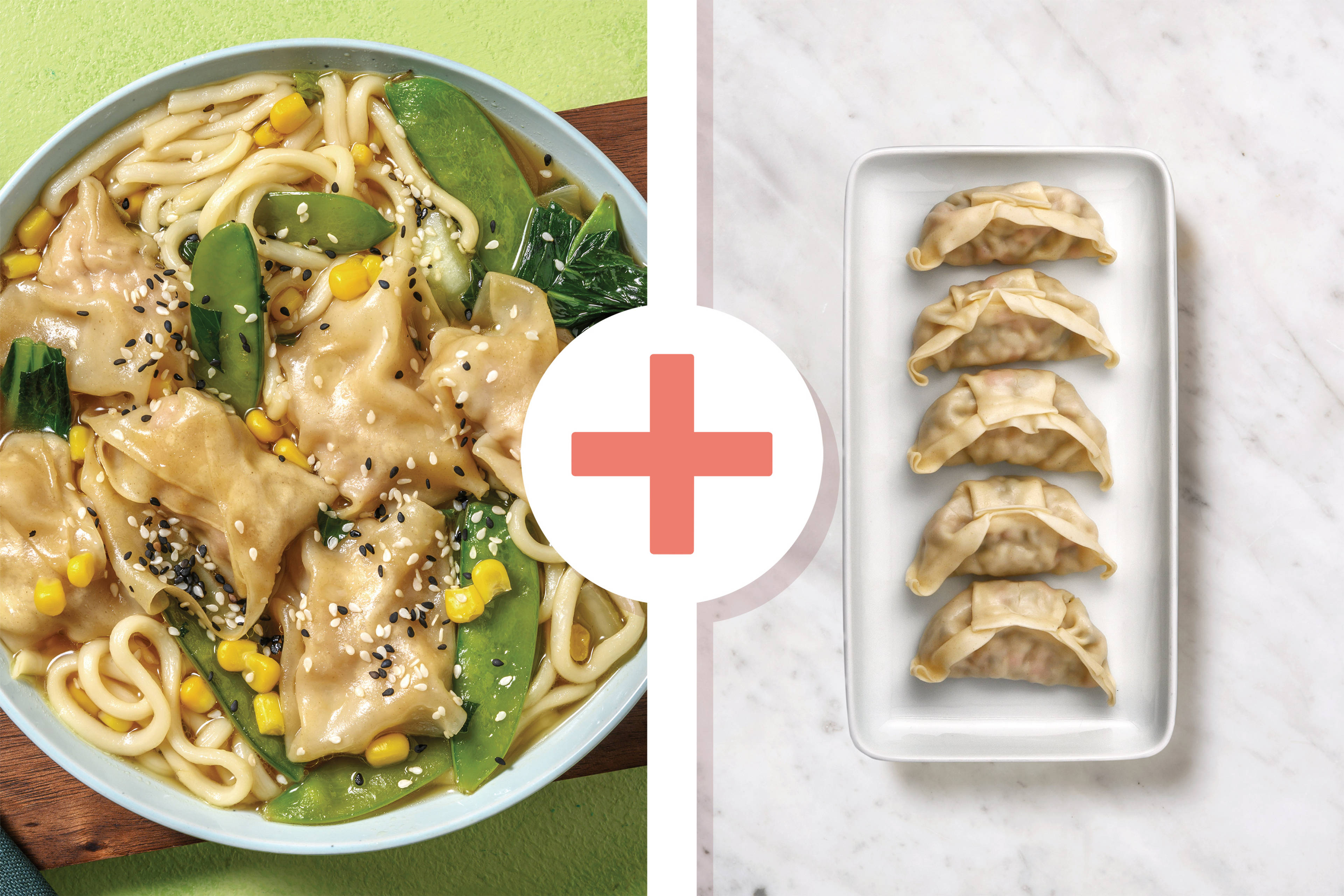 Double Prawn Wonton & Udon Noodle Soup
