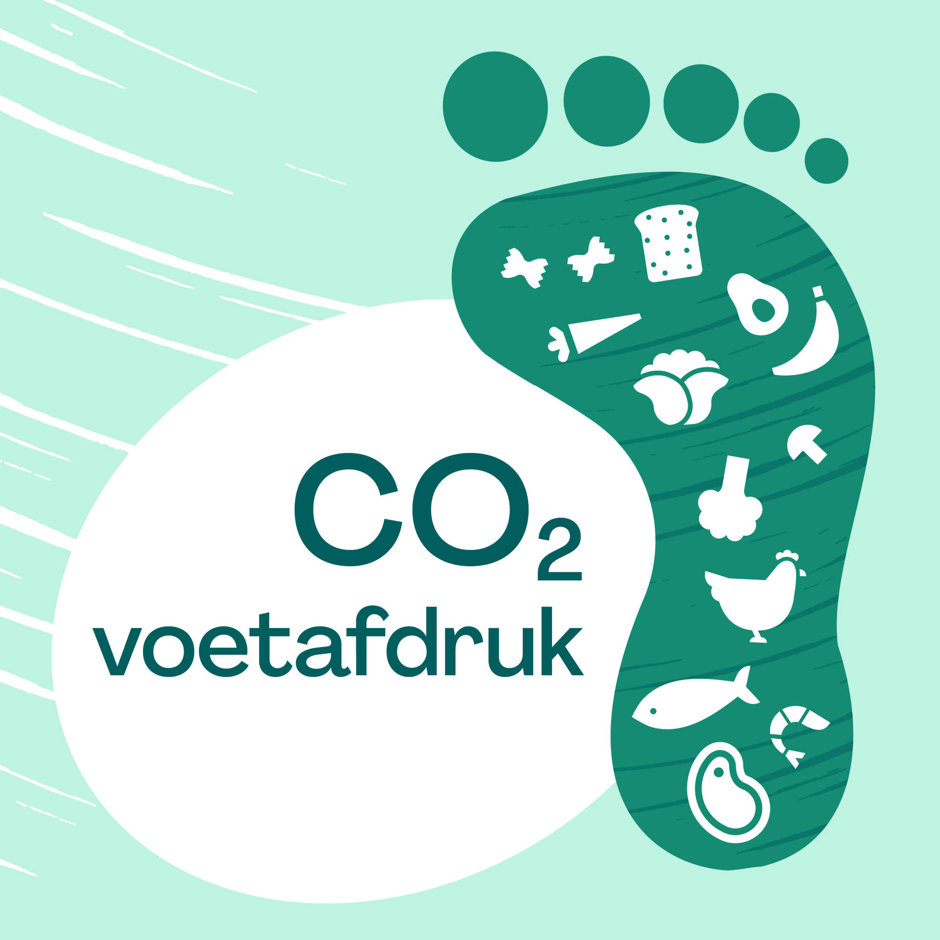 Stap voor stap minder CO₂e-uitstoot