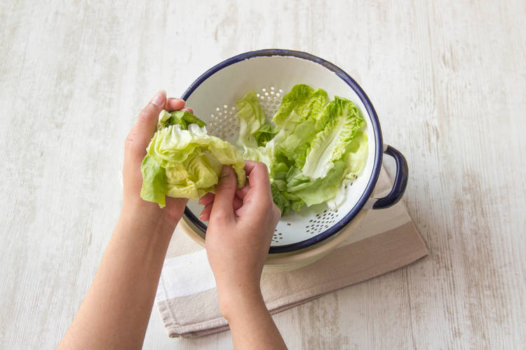 Die Salatblätter lösen und waschen