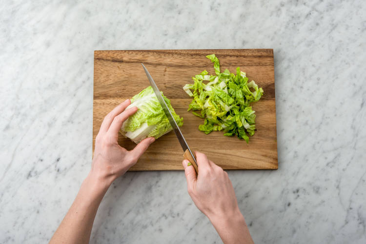 Shred the gem lettuce
