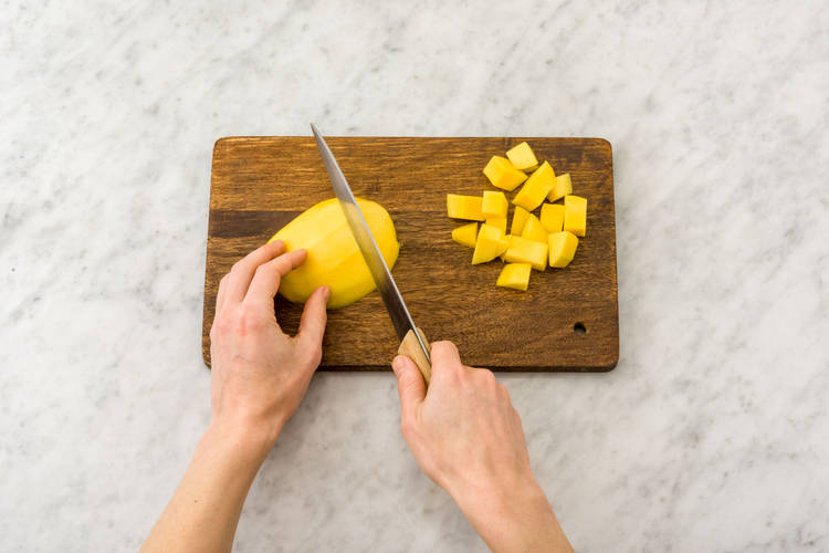 FÜR DIE MANGOSALSA
