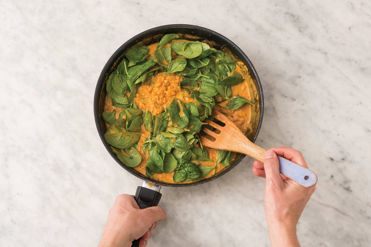 SIMMER THE DHAL