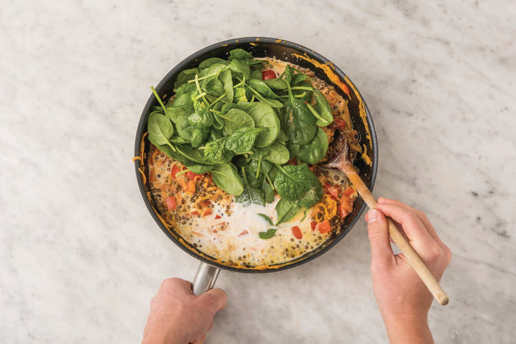 COOK THE LENTILS