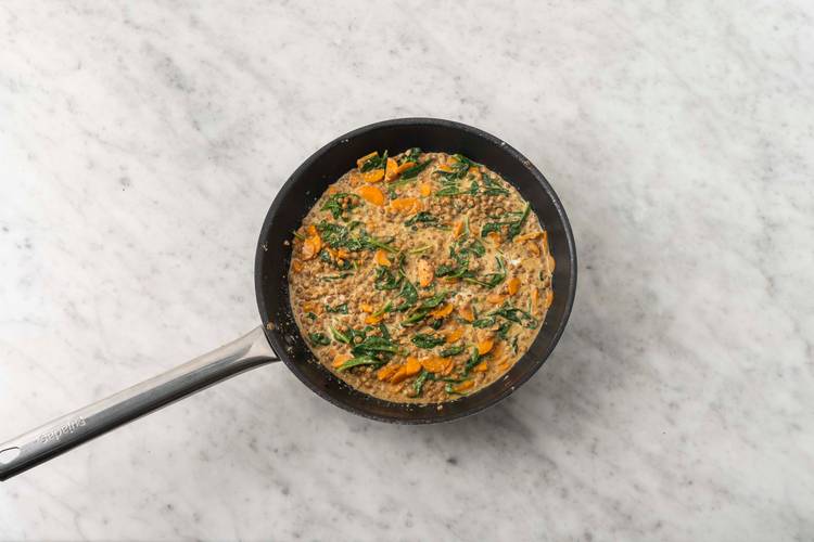 Finish the Lentils