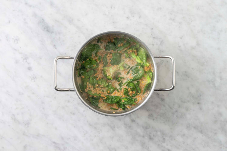Cook the Spinach