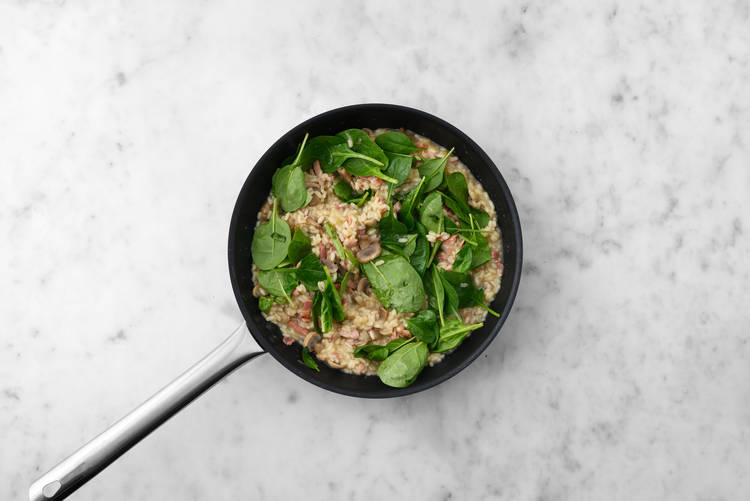 Spinach Time