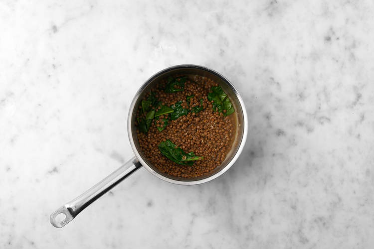 Cook the Lentils