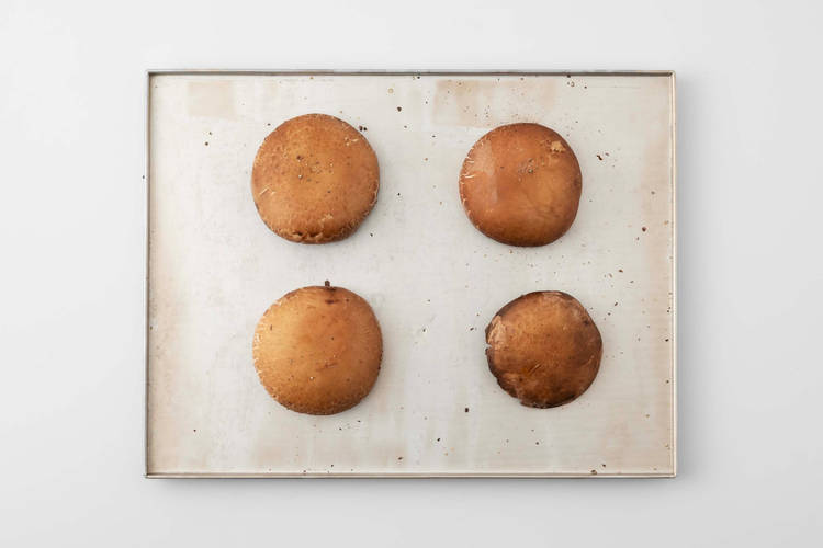 Roast the Mushrooms