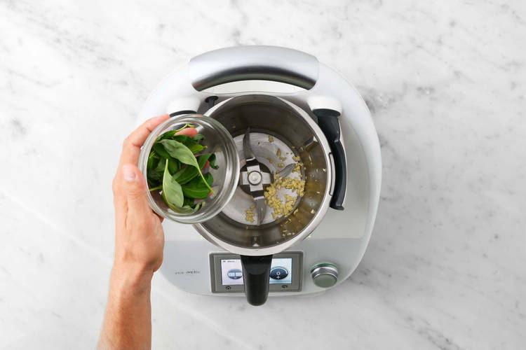 Pesto vorbereiten