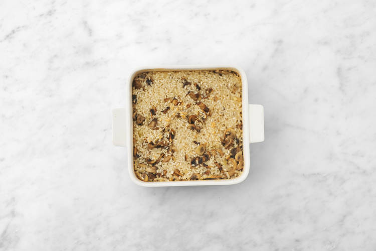 Ready, Steady, Bake