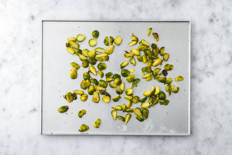 Sprout Time