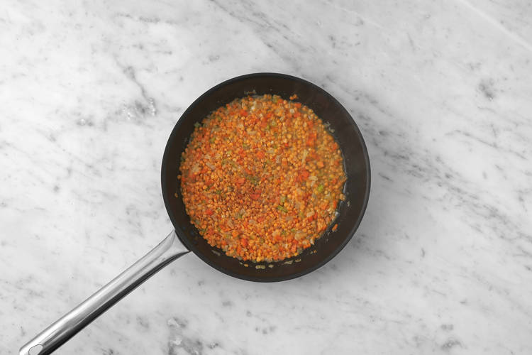 Commencer les lentilles