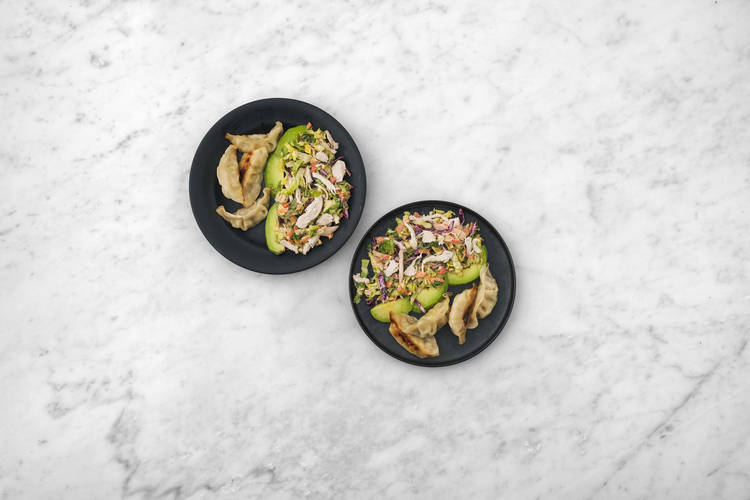 Cook the Gyoza and Serve