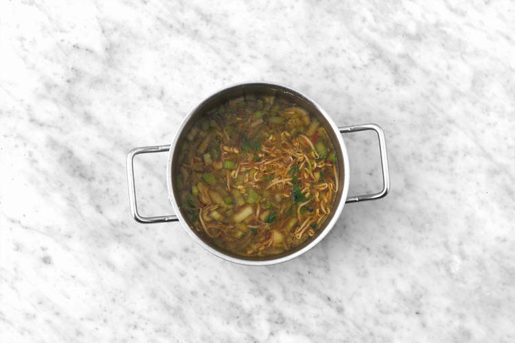 Bouillon maken