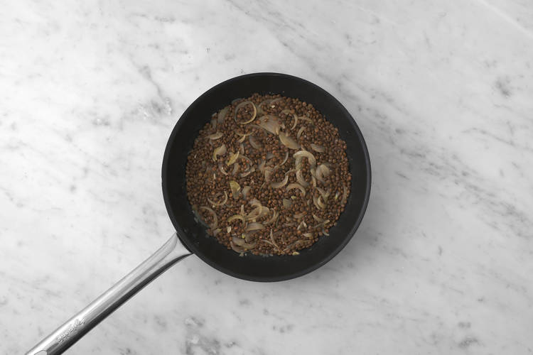 Cook the lentils