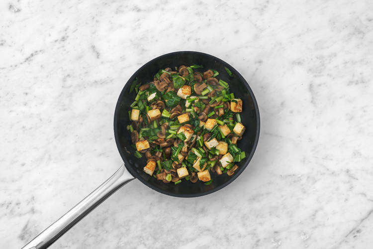 Start the tofu