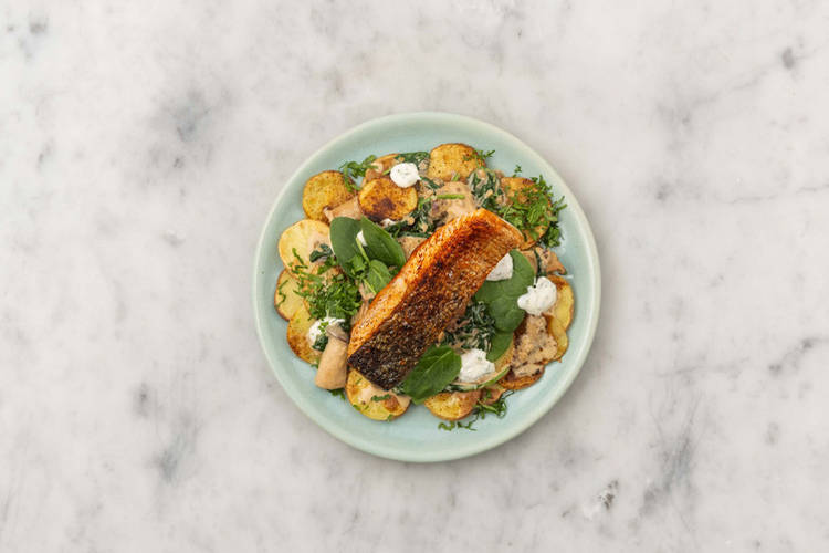 Lachs braten & Anrichten