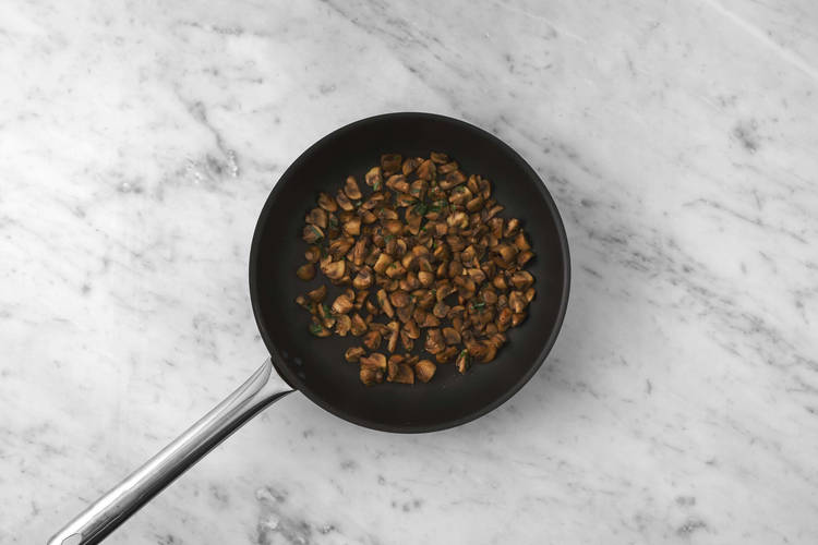 Les champignons en fête