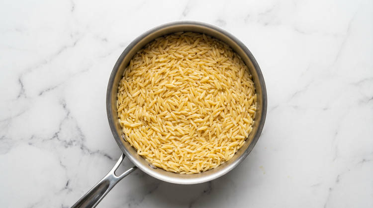 Start Orzo