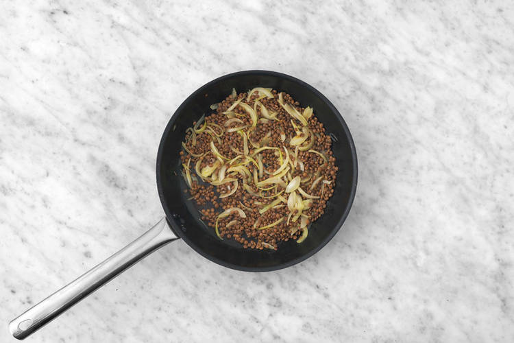 Cook the lentils