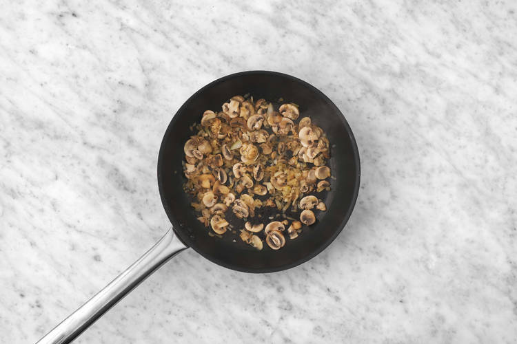 Au tour des champignons