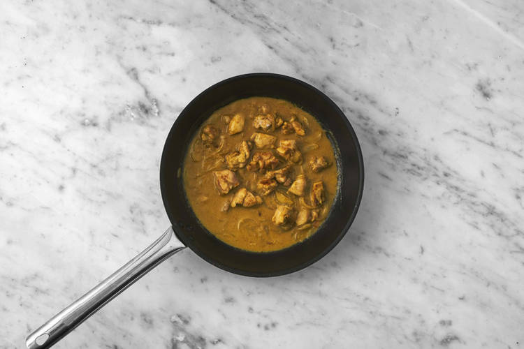 Make the korma curry