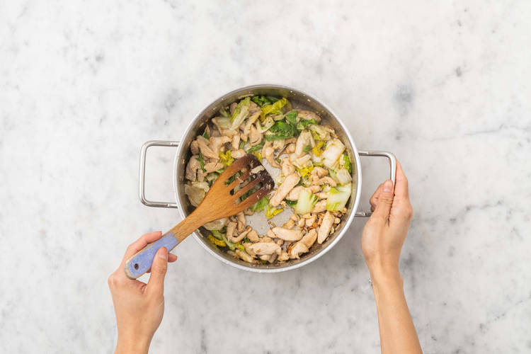 Hähnchen & Kohl anbraten