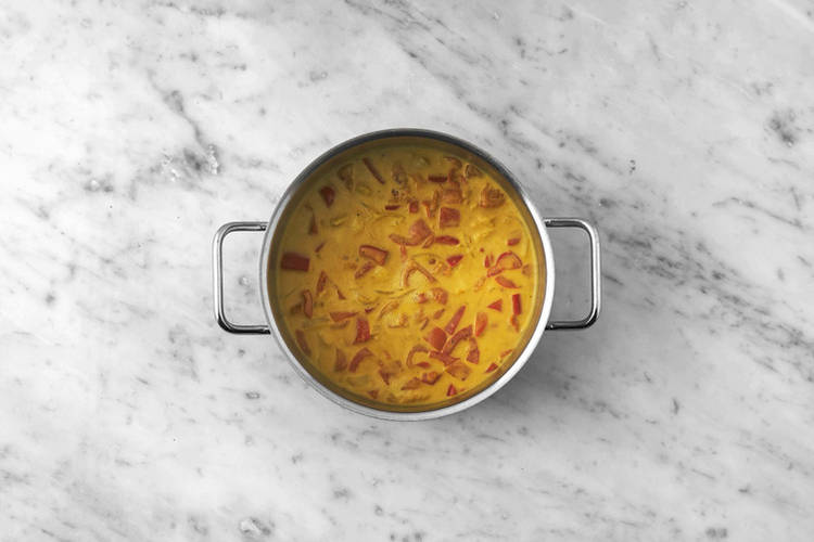 Curry kochen