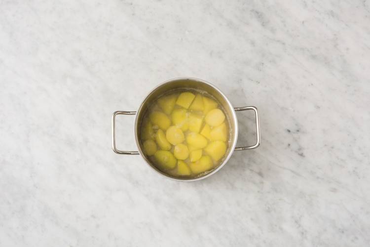 Start the Mash